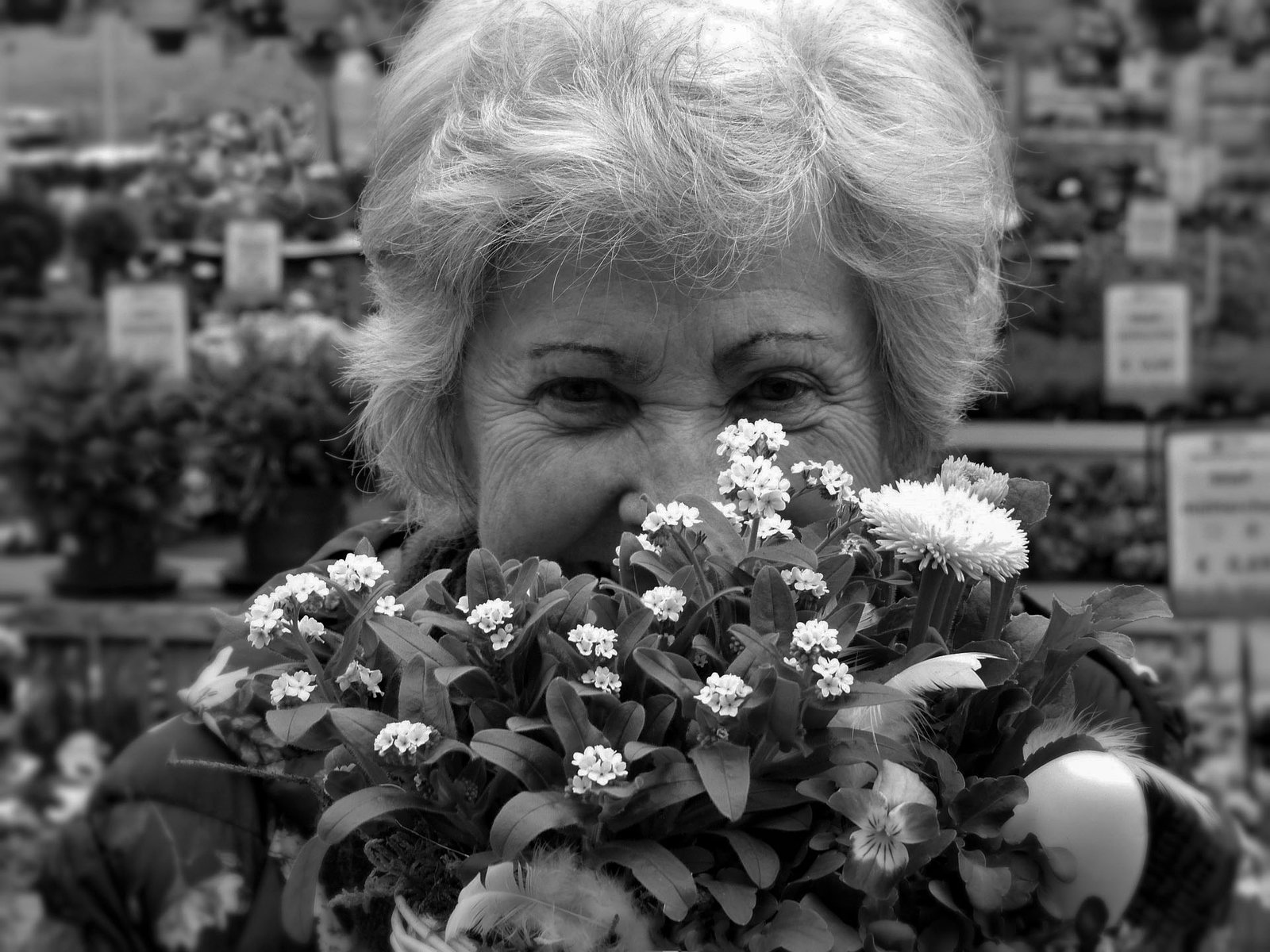 Portrait sensible d’une grand-mère